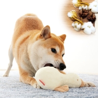 ＡＰＰＹＤＯＧ　オーガニックコットントイ