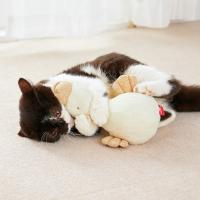オーガニックコットン　キャット