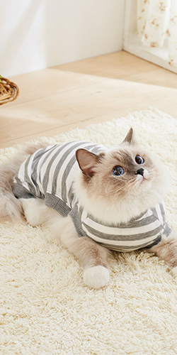 https://image.peppynet.com/upload/goods_category/20009_image.jpg