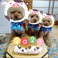 リラックスメッシュベッド