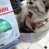 ロイヤルカナン　ダイジェスティブケア